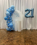 White, Black, Beige, Pink, Blue or Lilac Arch Backdrop Wall Hire with Balloon Garland #WHBD
