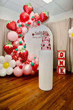 White, Black, Beige, Pink, Blue or Lilac Arch Backdrop Wall Hire with Balloon Garland #WHBD