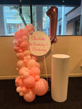 Easel  and Disc with  Balloon Garland HIRE Price from
