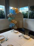 Beige, Pink, Blue or Lilac Arch Backdrop Wall Hire with Balloon Garland #BPBLBD
