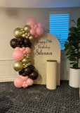 Beige, Pink, Blue or Lilac Arch Backdrop Wall Hire with Balloon Garland #BPBLBD