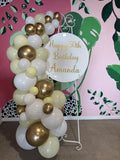 Easel  and Disc with  Balloon Garland HIRE Price from