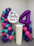 Easel  and Disc with  Balloon Garland HIRE Price from