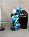 White, Black, Beige, Pink, Blue or Lilac Arch Backdrop Wall Hire with Balloon Garland #WHBD