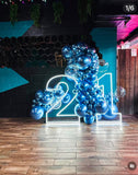 Neon LED 120cm Light Up Numbers White or Multi Coloured