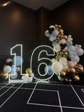 Neon Light Up Numbers White or Multi Coloured