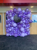 Balloon Wall Extra Large Organic Balloon Wall or Character Wall HIRE