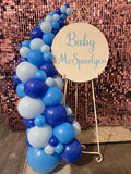 Easel  and Disc with  Balloon Garland HIRE Price from
