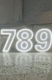 Neon Light Up Numbers White or Multi Coloured
