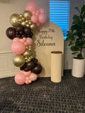 Beige, Pink, Blue or Lilac Arch Backdrop Wall Hire with Balloon Garland #BPBLBD