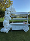 Organic Balloon Garland Grab and Go per metre FROM: