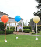 Large 60cm Latex Balloon Helium filled 3-4 day Float Time with Satin Ribbon & Balloon Weight