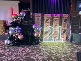 Neon LED 120cm Light Up Numbers White or Multi Coloured