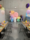 Beige, Pink, Blue or Lilac Arch Backdrop Wall Hire with Balloon Garland #BPBLBD