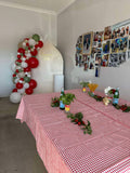 Beige, Pink, Blue or Lilac Arch Backdrop Wall Hire with Balloon Garland #BPBLBD
