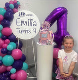 Easel  and Disc with  Balloon Garland HIRE Price from
