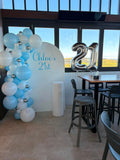 White, Black, Beige, Pink, Blue or Lilac Arch Backdrop Wall Hire with Balloon Garland #WHBD