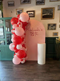 Beige, Pink, Blue or Lilac Arch Backdrop Wall Hire with Balloon Garland #BPBLBD