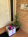 Surprise Balloon Gift Box -Price from