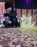 White, Black, Beige, Pink, Blue or Lilac Arch Backdrop Wall Hire with Balloon Garland #WHBD