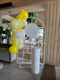 Mesh Arch White or Black or White French Window Backdrop with Balloon Garland HIRE