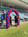Balloon Standard Cluster Arch, HIRE ITEM Price from
