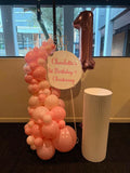 Easel  and Disc with  Balloon Garland HIRE Price from