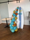 Easel  and Disc with  Balloon Garland HIRE Price from