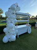 Organic Balloon Garland Grab and Go per metre FROM: