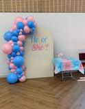 Beige, Pink, Blue or Lilac Arch Backdrop Wall Hire with Balloon Garland #BPBLBD