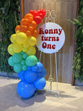 Easel  and Disc with  Balloon Garland HIRE Price from