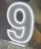 Neon Light Up Numbers White or Multi Coloured