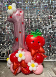 Balloon Marquee Display- Choose Colour & Age FROM