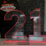 Neon Light Up Numbers White or Multi Coloured
