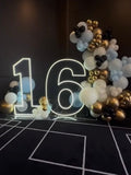 Neon Light Up Numbers White or Multi Coloured