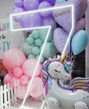Neon Light Up Numbers White or Multi Coloured