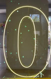 Neon Light Up Numbers White or Multi Coloured