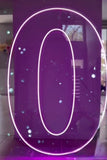 Neon Light Up Numbers White or Multi Coloured