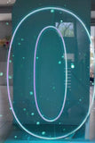 Neon Light Up Numbers White or Multi Coloured