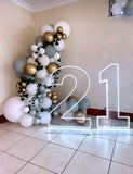Neon Light Up Numbers White or Multi Coloured