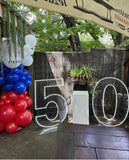 Neon Light Up Numbers White or Multi Coloured