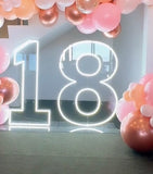 Neon Light Up Numbers White or Multi Coloured