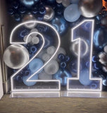 Neon Light Up Numbers White or Multi Coloured