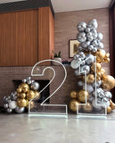 Neon Light Up Numbers White or Multi Coloured