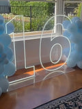 Neon Light Up Numbers White or Multi Coloured