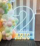 Neon Light Up Numbers White or Multi Coloured