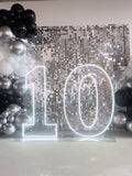 Neon Light Up Numbers White or Multi Coloured