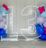 Neon Light Up Numbers White or Multi Coloured