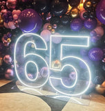 Neon Light Up Numbers White or Multi Coloured