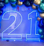 Neon Light Up Numbers White or Multi Coloured